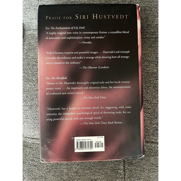 What I Loved by Siri Hustvedt (2003, Hardcover, Revised edition) - Picture 2 of 2